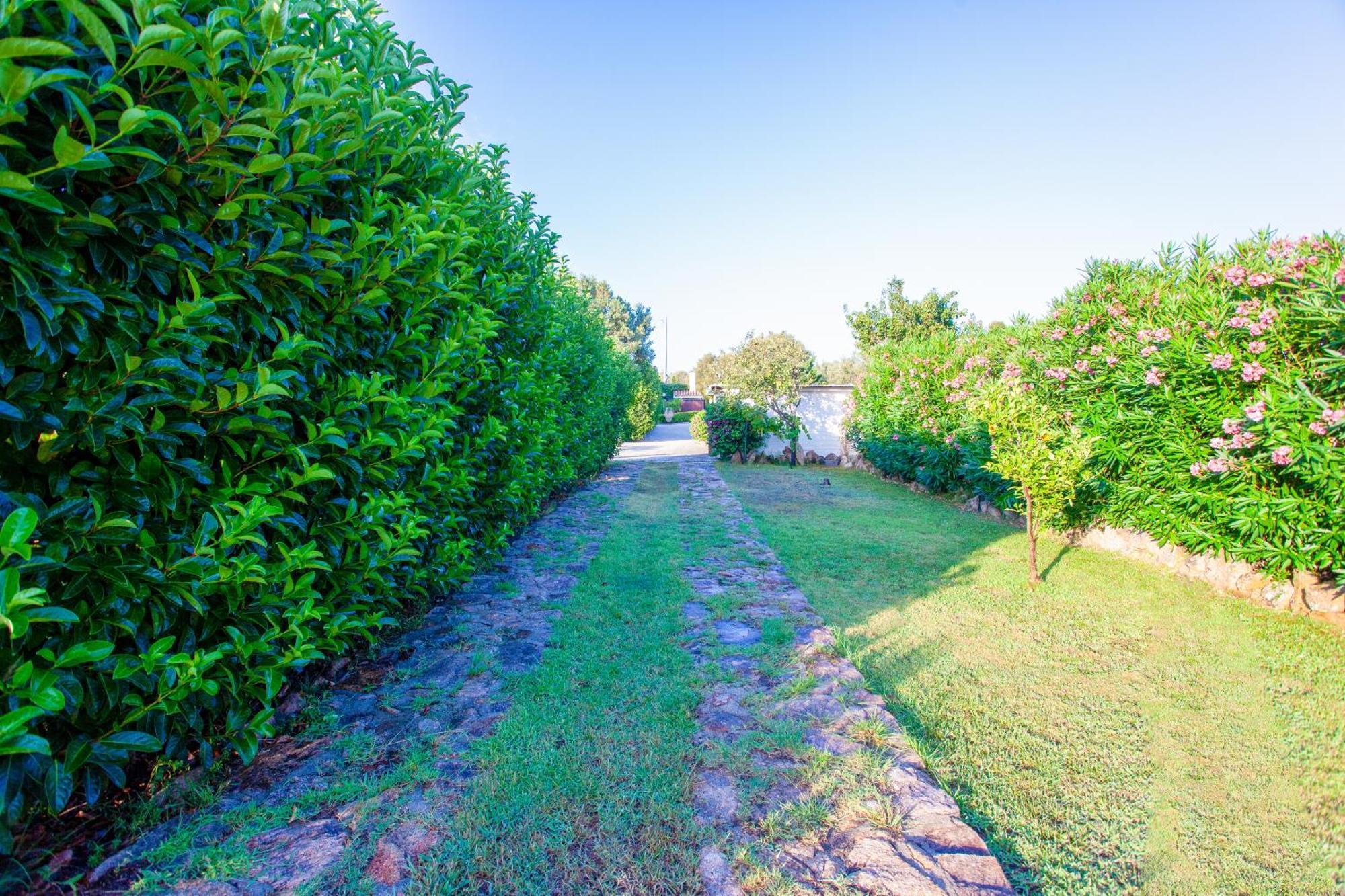 Villa Niloan Olbia Exterior photo